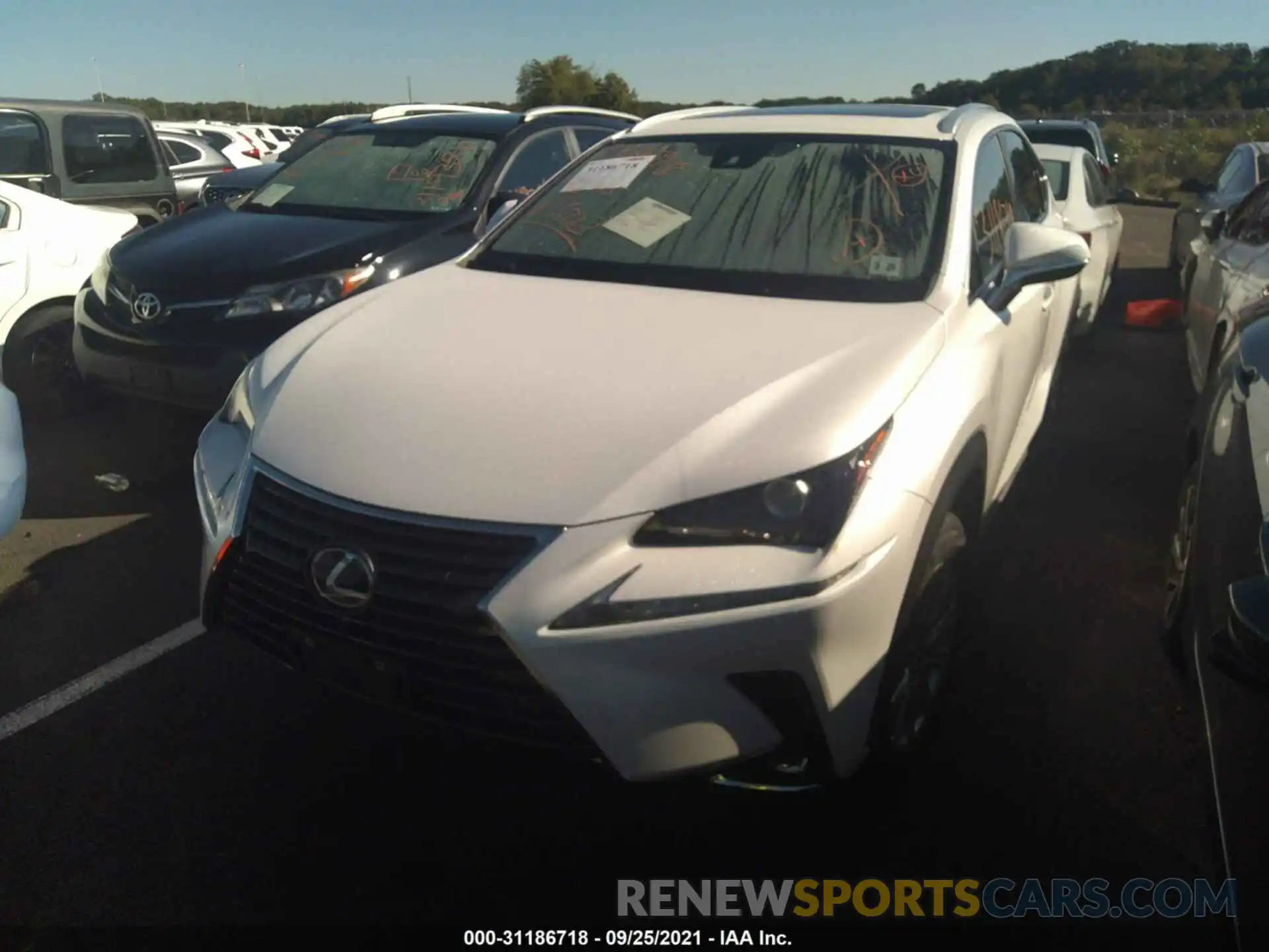 6 Фотография поврежденного автомобиля JTJDARDZ2M5025757 LEXUS NX 2021