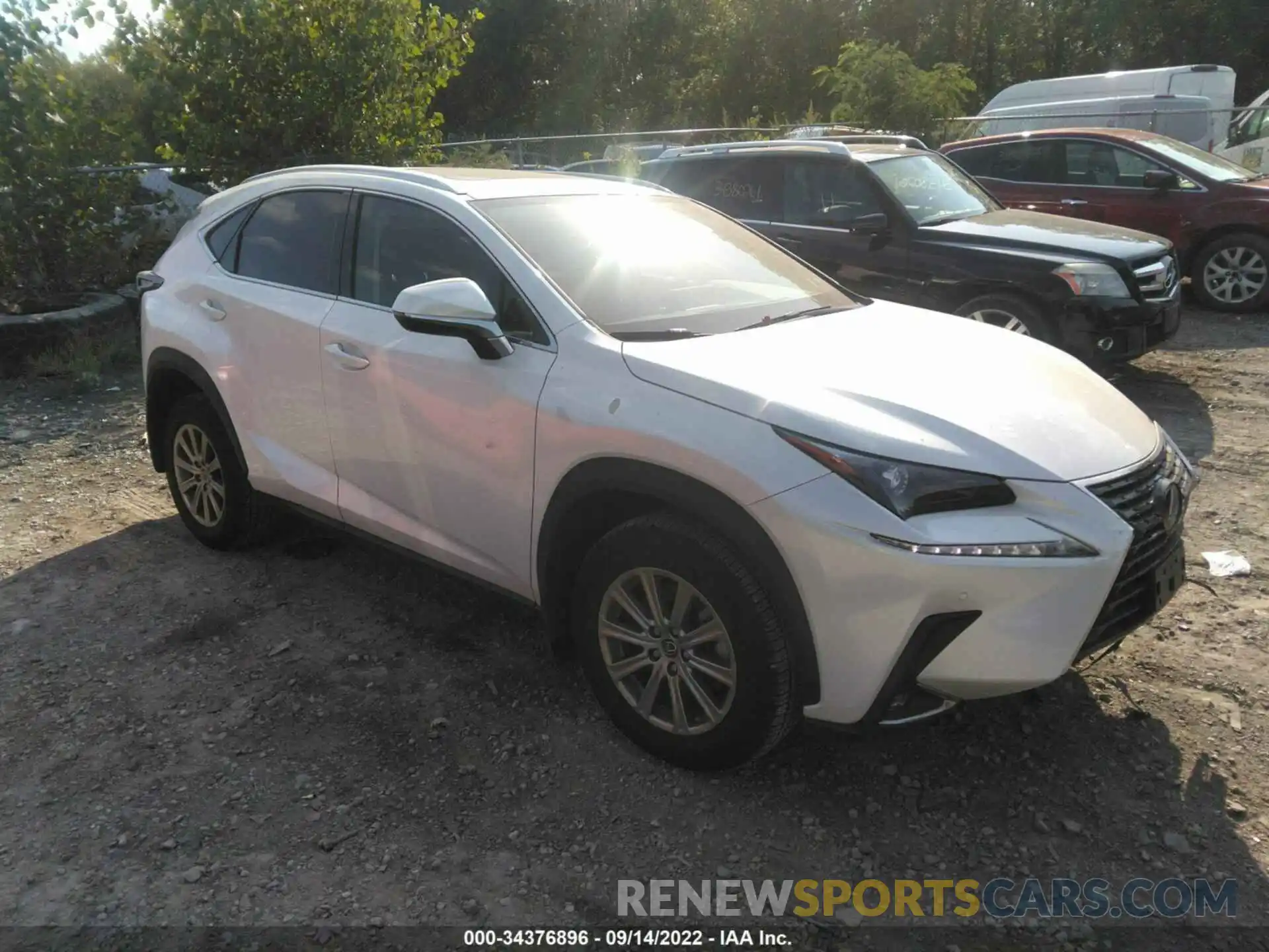 1 Фотография поврежденного автомобиля JTJDARDZ2M5031946 LEXUS NX 2021