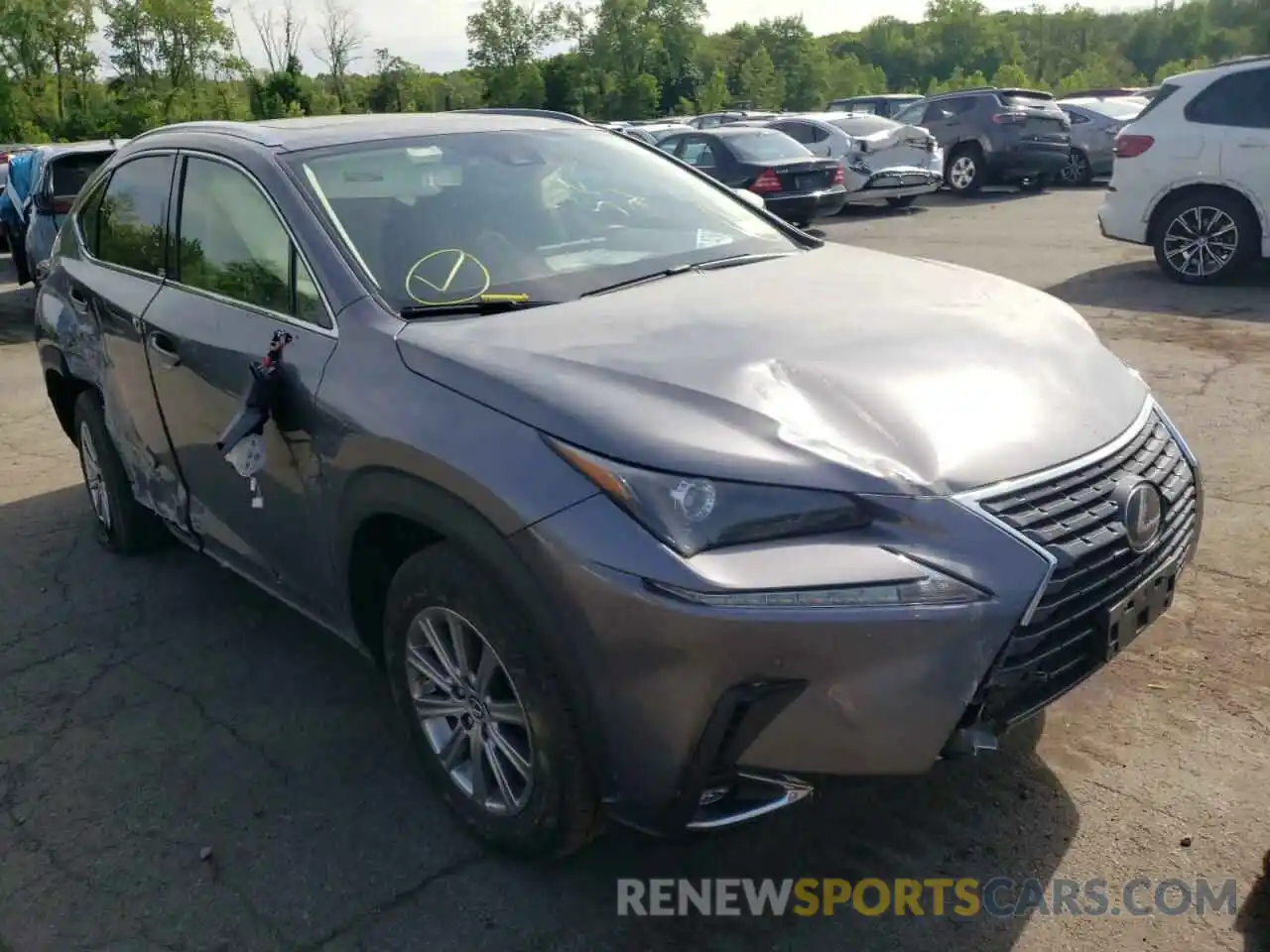 1 Photograph of a damaged car JTJDARDZ3M2249783 LEXUS NX 2021