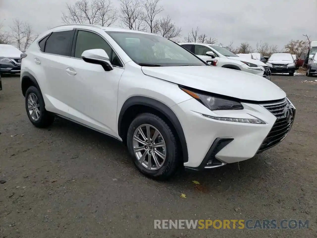 1 Фотография поврежденного автомобиля JTJDARDZ4M5029504 LEXUS NX 2021