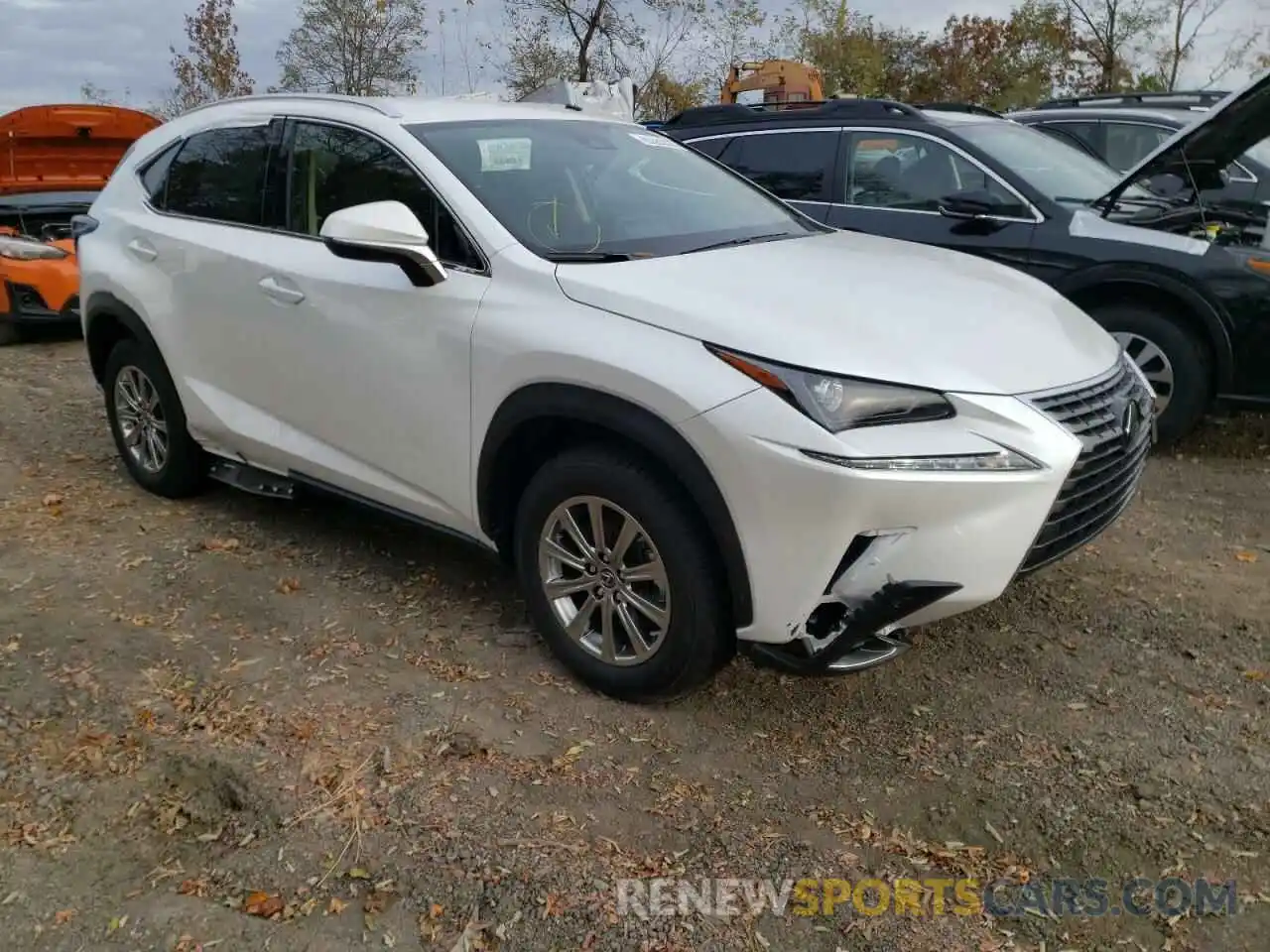 1 Photograph of a damaged car JTJDARDZ5M5029429 LEXUS NX 2021