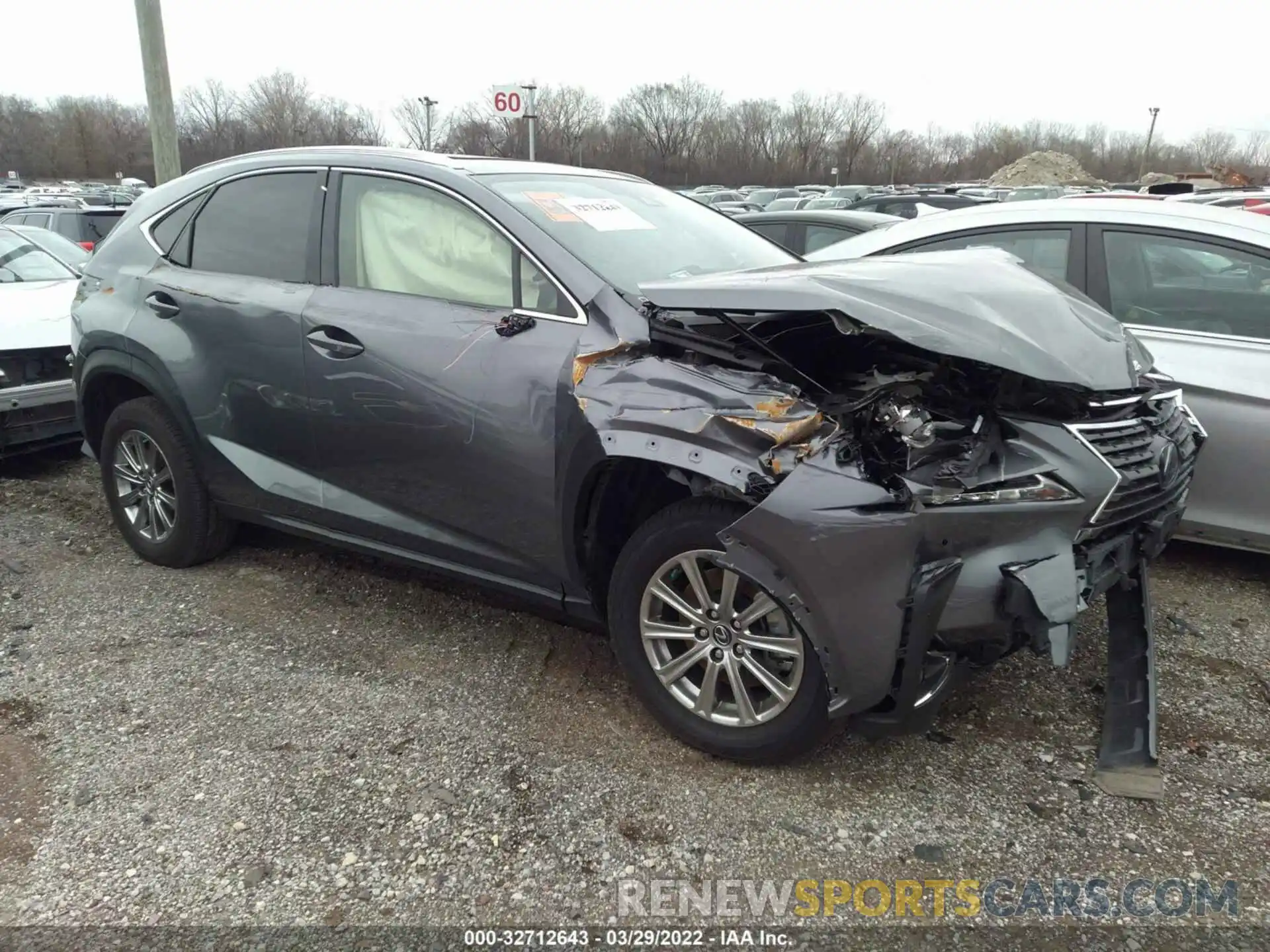 1 Photograph of a damaged car JTJDARDZ6M2239670 LEXUS NX 2021