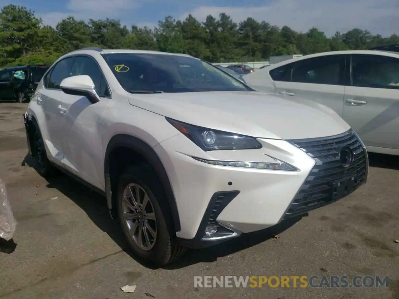 1 Photograph of a damaged car JTJDARDZ6M5025910 LEXUS NX 2021