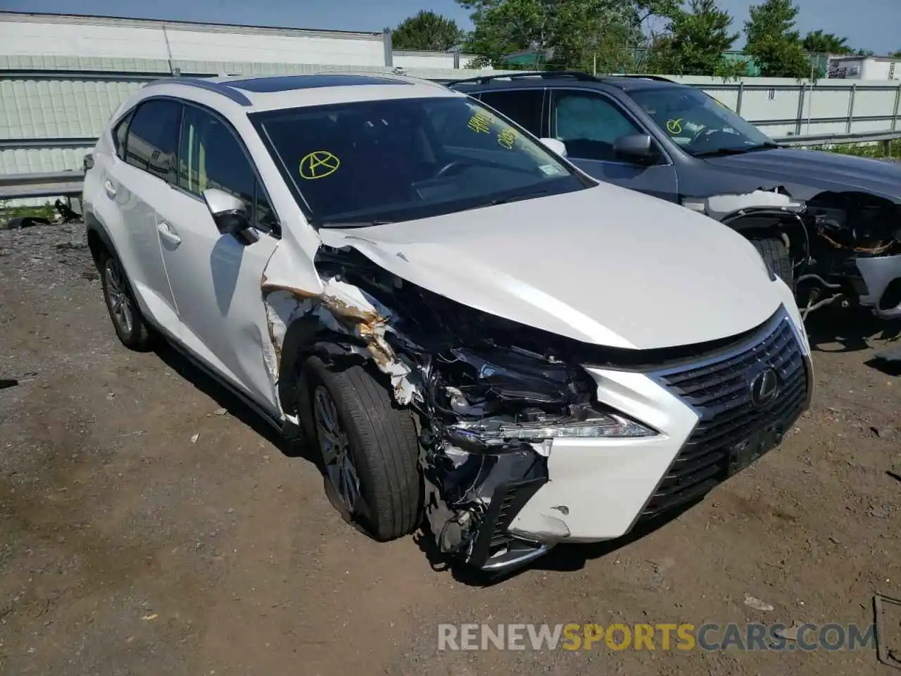 1 Photograph of a damaged car JTJDARDZ7M5020280 LEXUS NX 2021