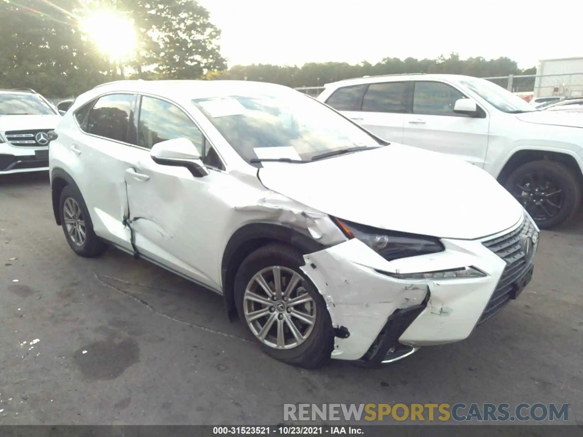 1 Photograph of a damaged car JTJDARDZ7M5024863 LEXUS NX 2021