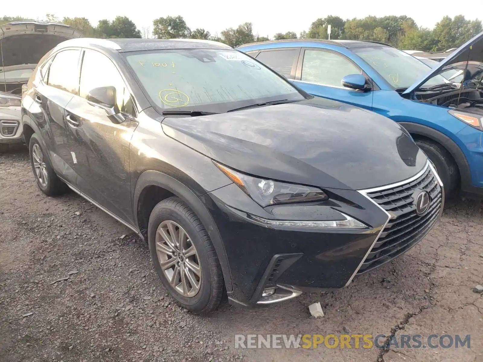 1 Photograph of a damaged car JTJDARDZ8M2248192 LEXUS NX 2021