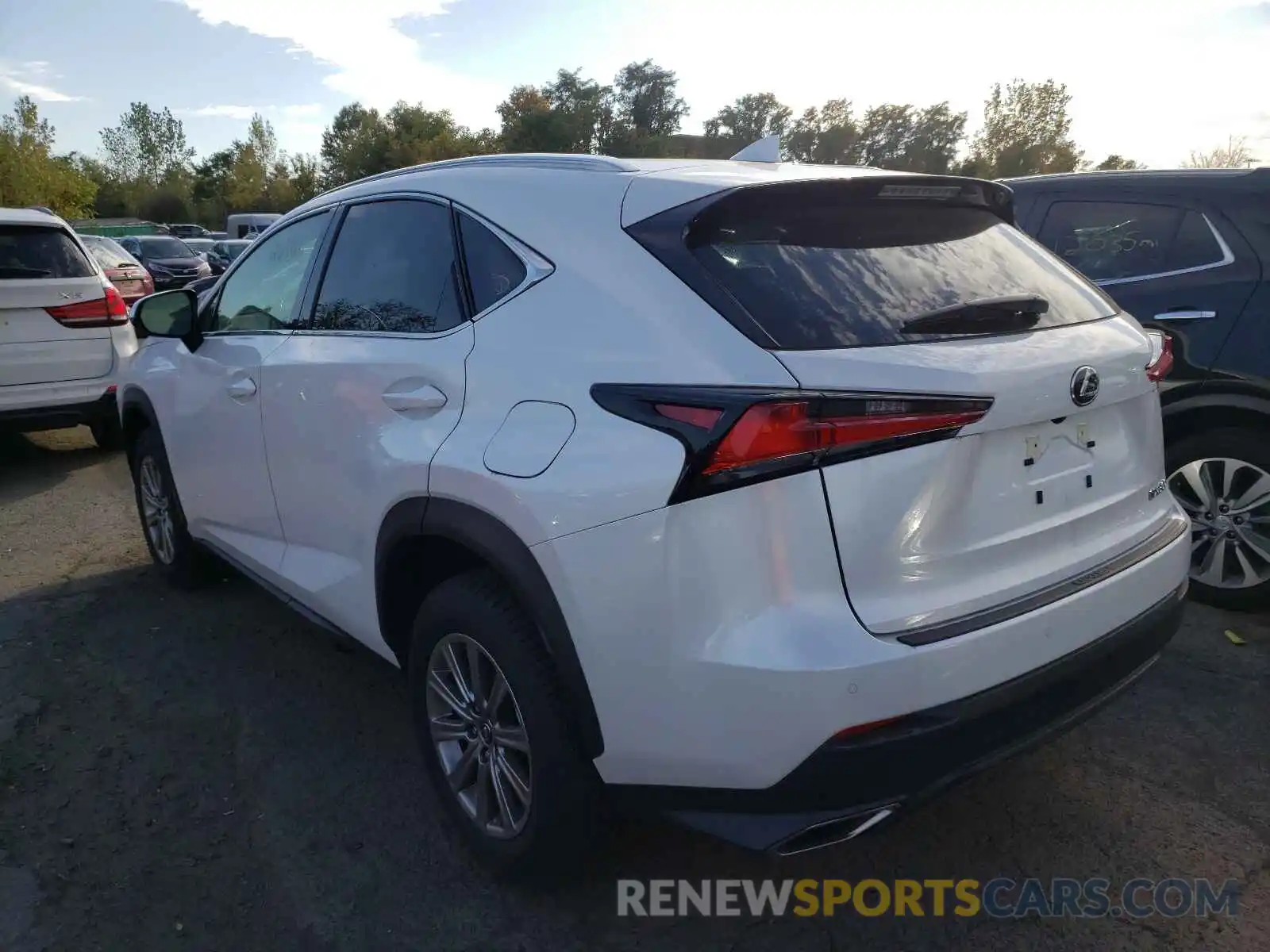 3 Фотография поврежденного автомобиля JTJDARDZ9M5025478 LEXUS NX 2021