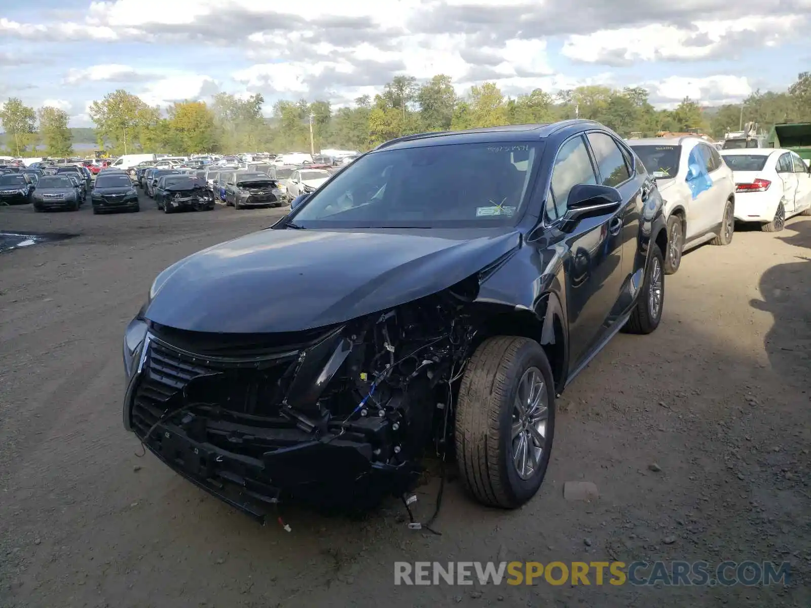 2 Photograph of a damaged car JTJDARDZXM2252065 LEXUS NX 2021