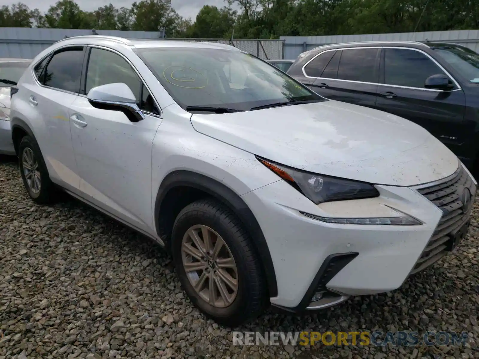 1 Photograph of a damaged car JTJDARDZXM5019477 LEXUS NX 2021