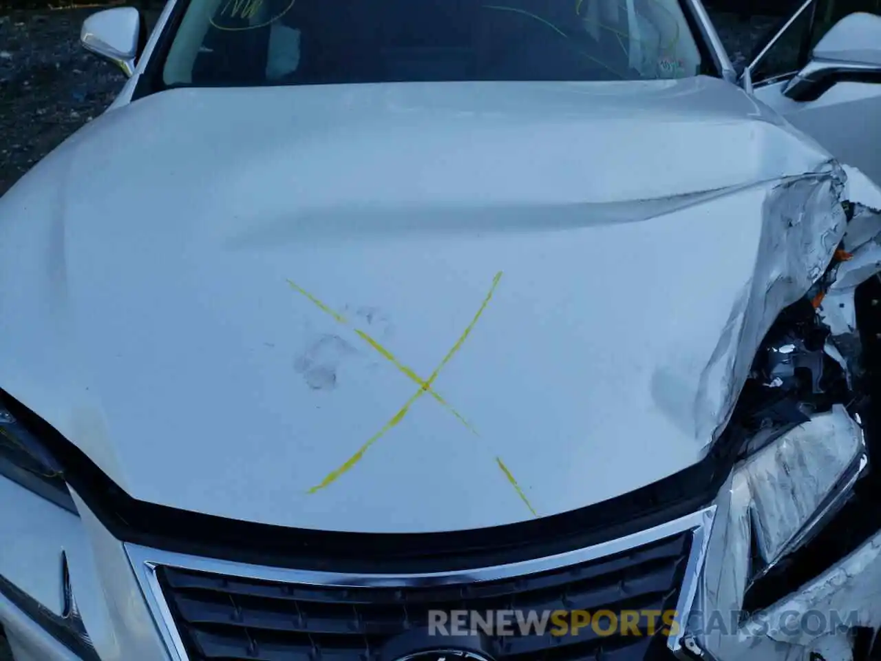 7 Photograph of a damaged car JTJDARDZXM5020287 LEXUS NX 2021