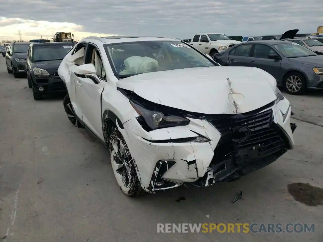 1 Photograph of a damaged car JTJGARBZ5M5029916 LEXUS NX 2021