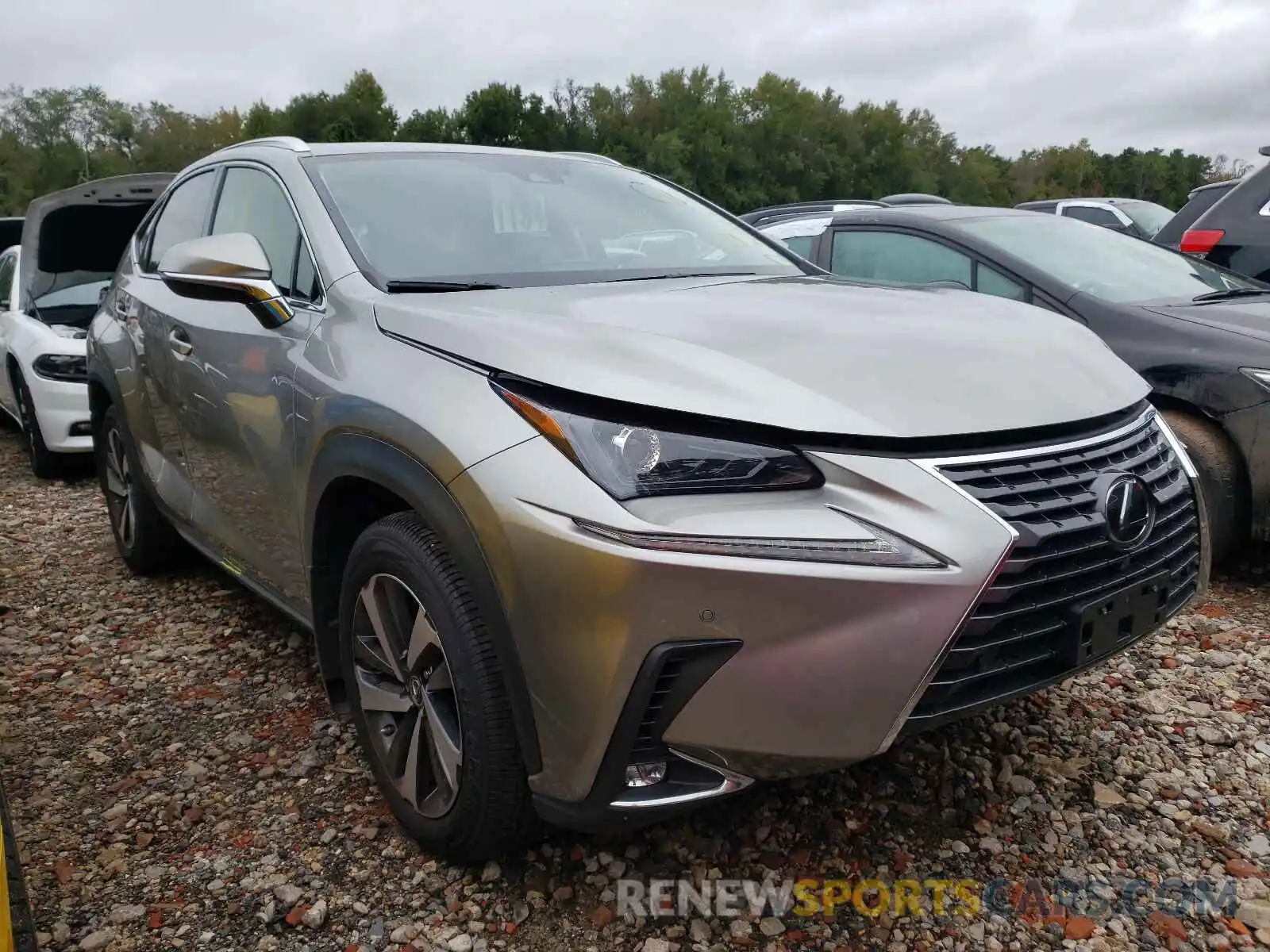 1 Photograph of a damaged car JTJGARDZ2M2242708 LEXUS NX 2021