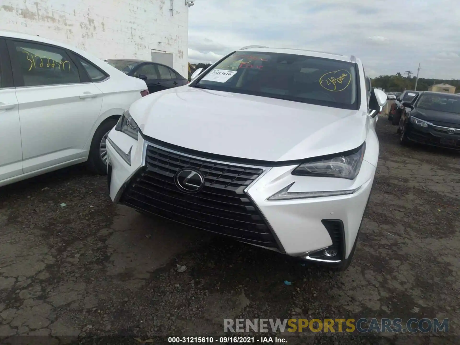 6 Photograph of a damaged car JTJGARDZ6M5021353 LEXUS NX 2021