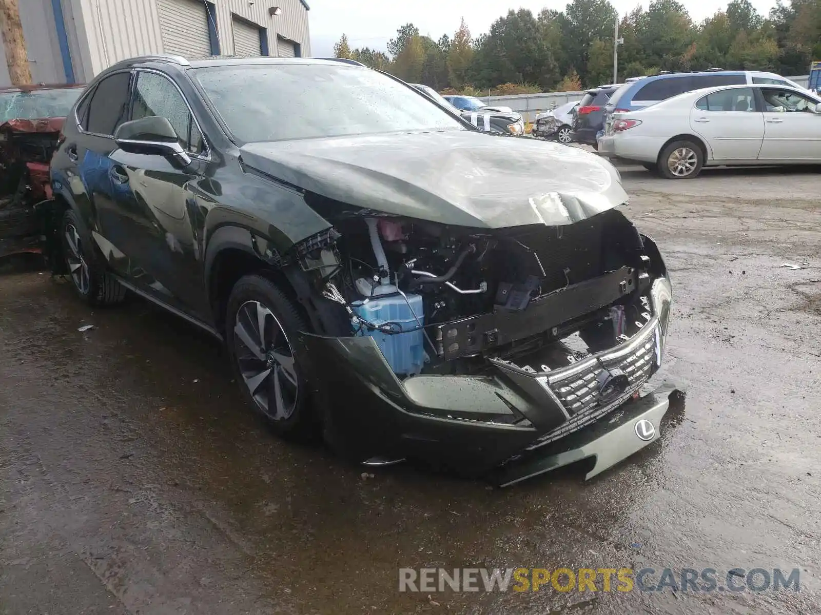 1 Photograph of a damaged car JTJGARDZ7M2244891 LEXUS NX 2021