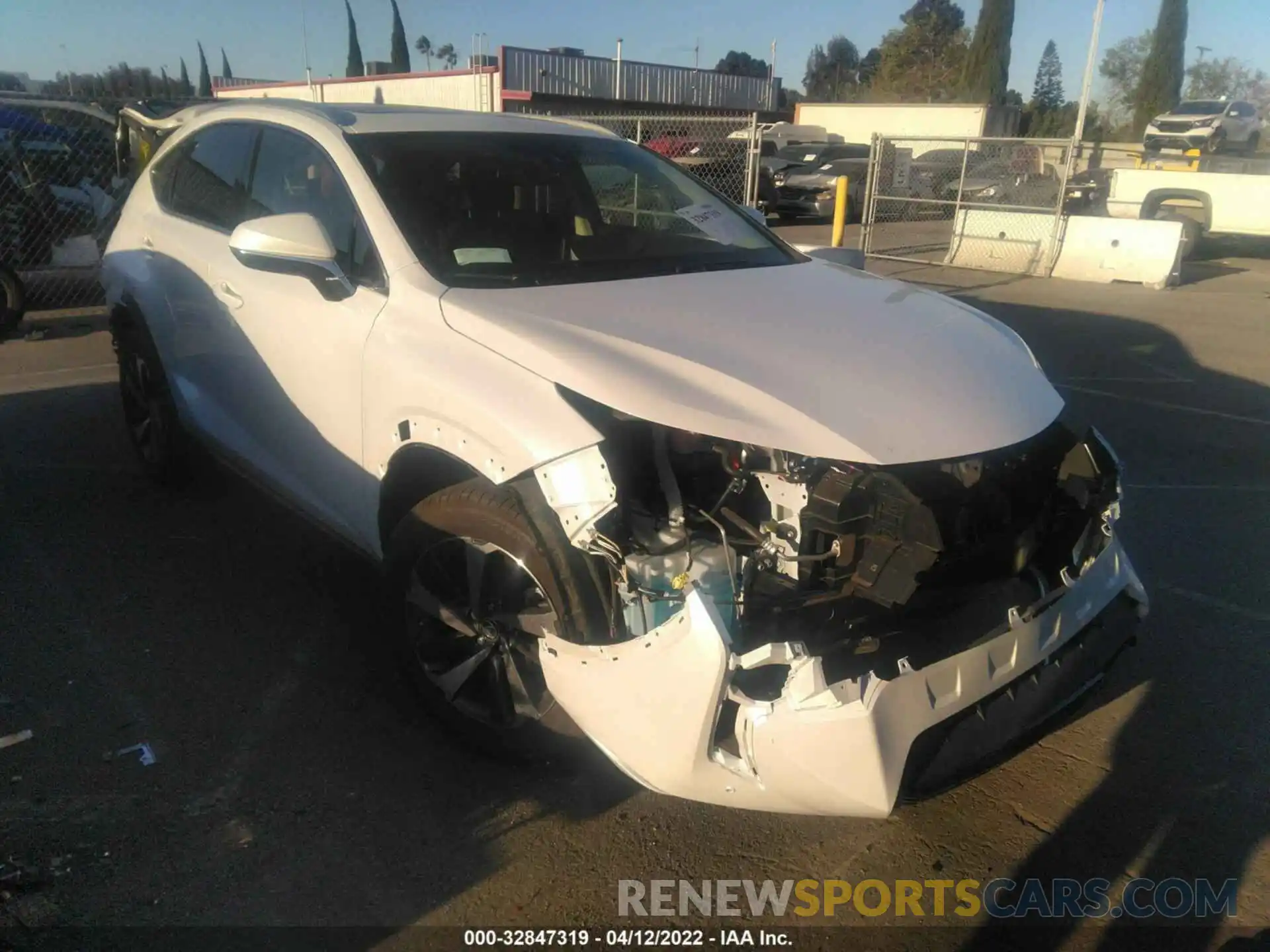 1 Photograph of a damaged car JTJGJRDZ0M5014382 LEXUS NX 2021