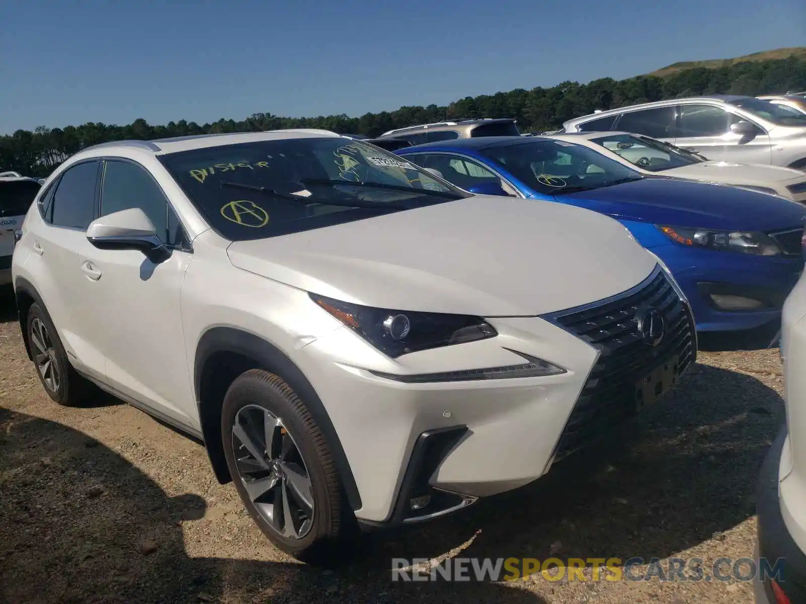 1 Фотография поврежденного автомобиля JTJGJRDZ2M5015064 LEXUS NX 2021