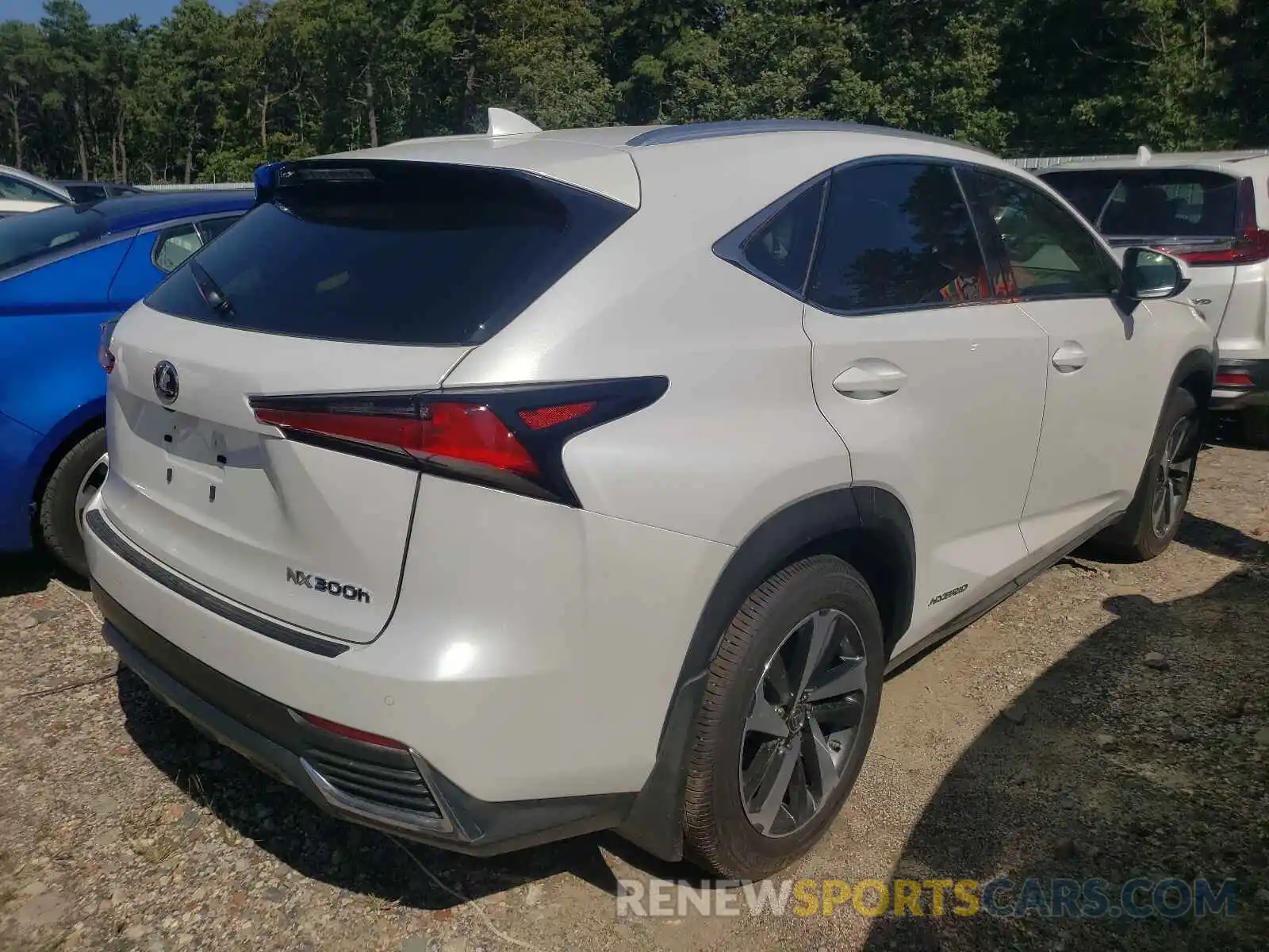 4 Фотография поврежденного автомобиля JTJGJRDZ2M5015064 LEXUS NX 2021