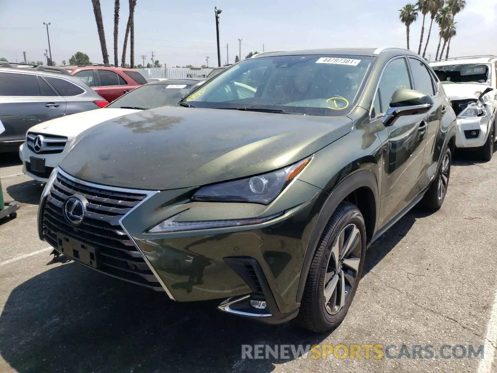 2 Photograph of a damaged car JTJGJRDZ7M2154978 LEXUS NX 2021