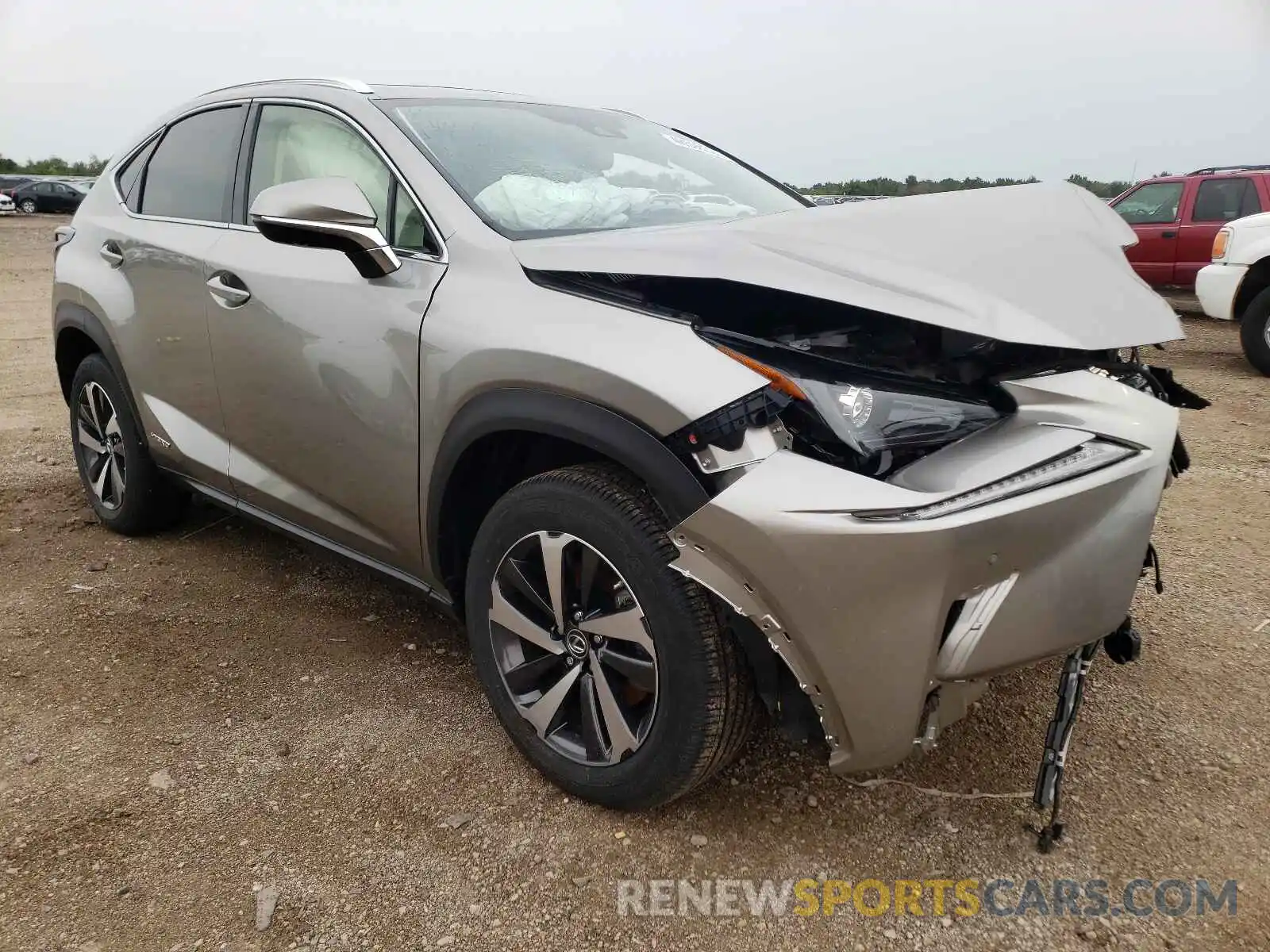 1 Photograph of a damaged car JTJGJRDZ7M5012192 LEXUS NX 2021