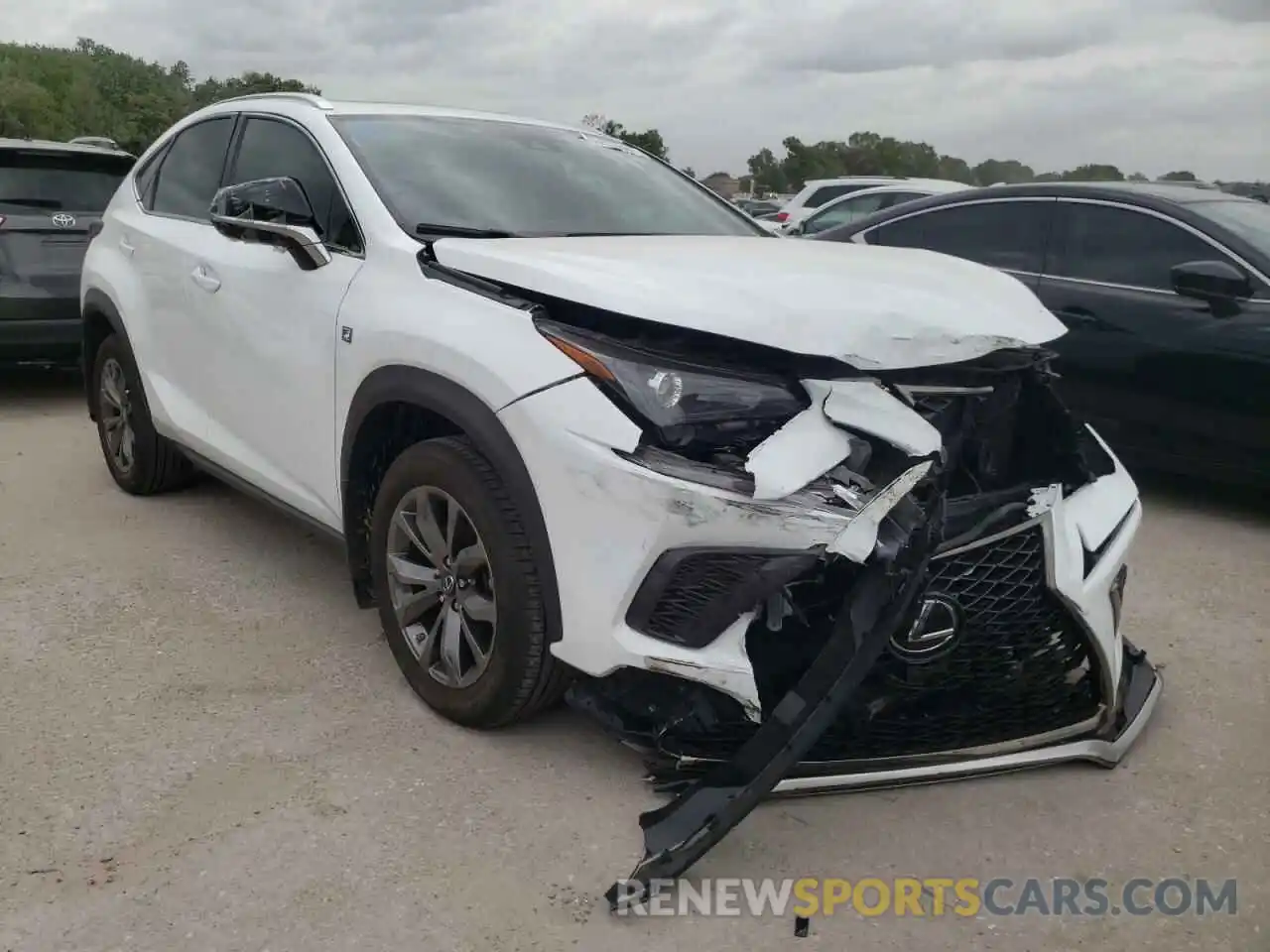 1 Photograph of a damaged car JTJSARBZ4M2202093 LEXUS NX 2021