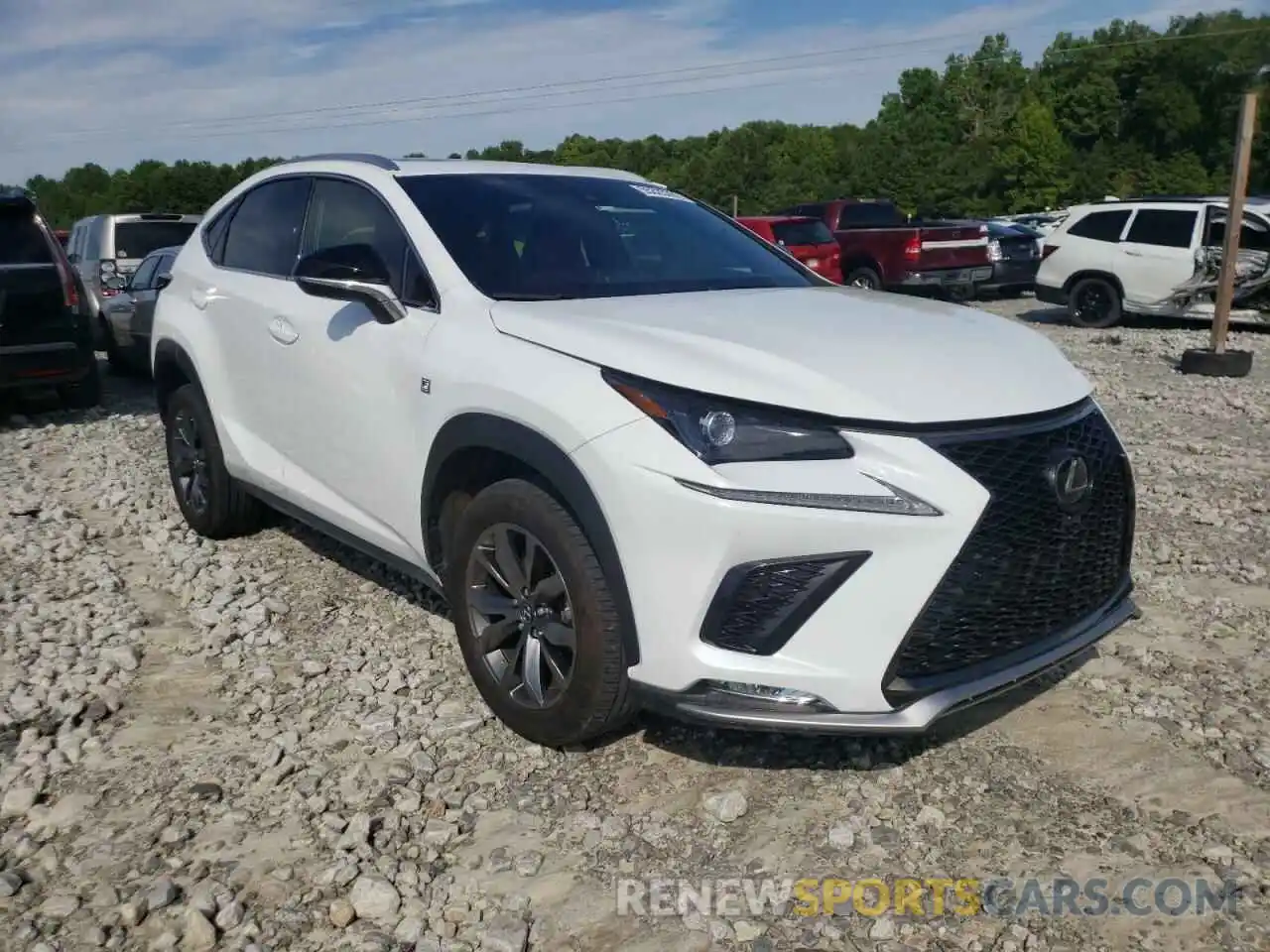 1 Photograph of a damaged car JTJSARBZ6M5033130 LEXUS NX 2021