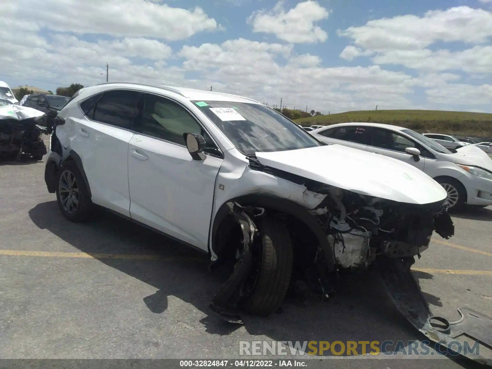 1 Photograph of a damaged car JTJSARBZ7M5023450 LEXUS NX 2021