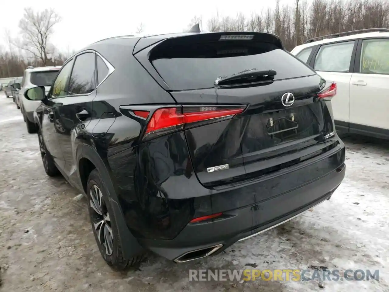 3 Фотография поврежденного автомобиля JTJSARDZ1M2245903 LEXUS NX 2021