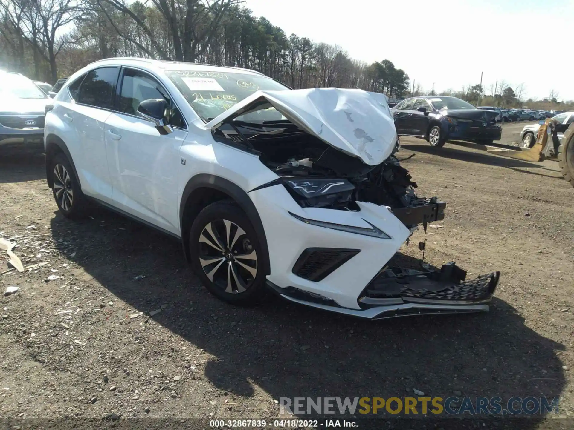 1 Photograph of a damaged car JTJSARDZ3M5019277 LEXUS NX 2021