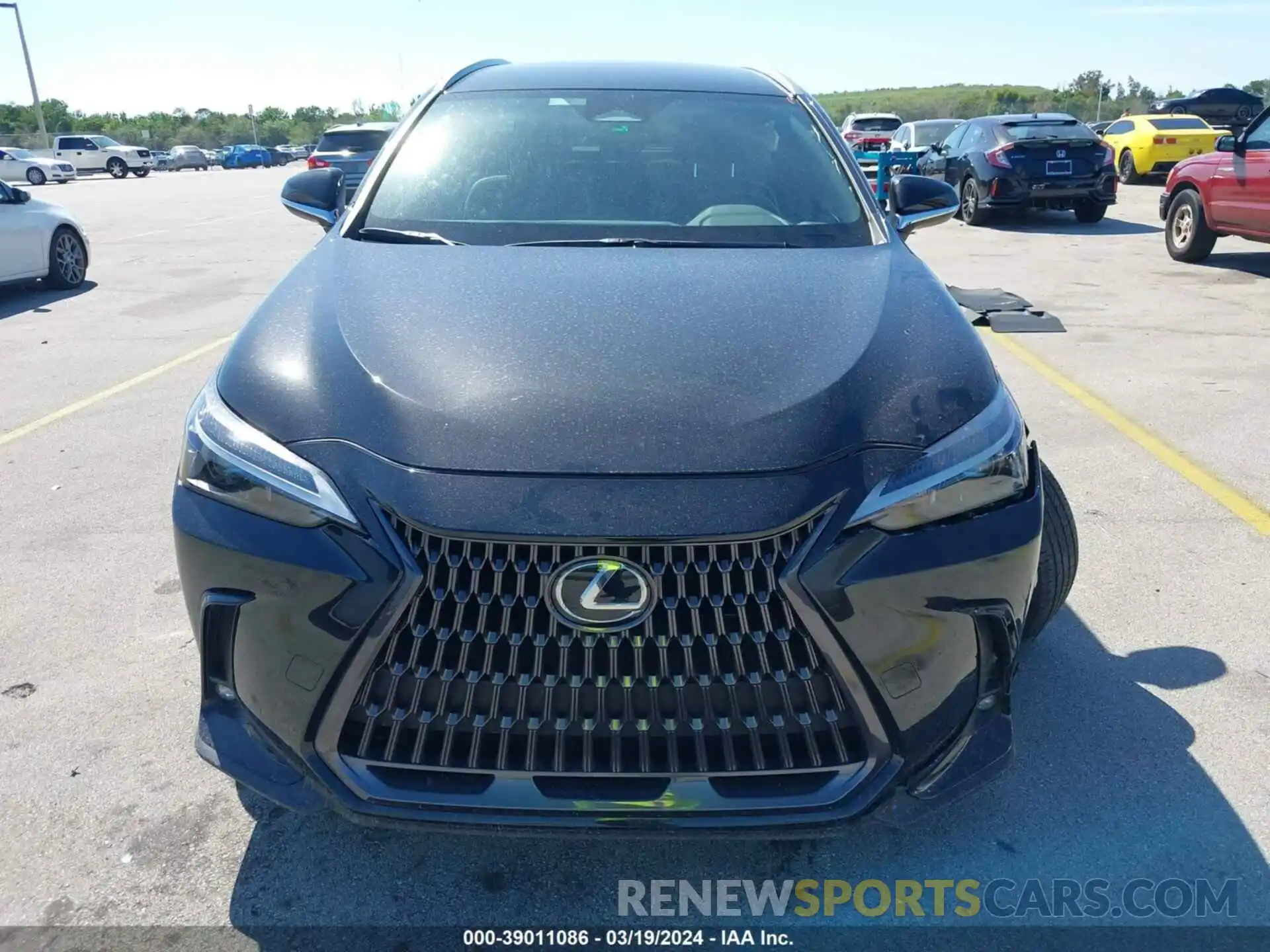 12 Photograph of a damaged car 2T2ADCAZ7NC001775 LEXUS NX 250 2022