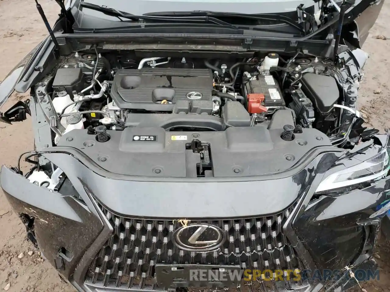 12 Photograph of a damaged car 2T2ADCEZ8PC002964 LEXUS NX 250 2023