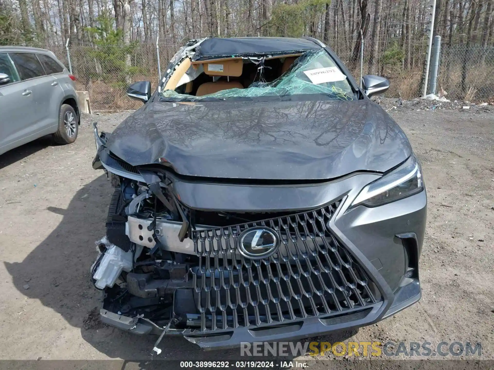 12 Photograph of a damaged car 2T2GDCAZ2PC003978 LEXUS NX 250 2023