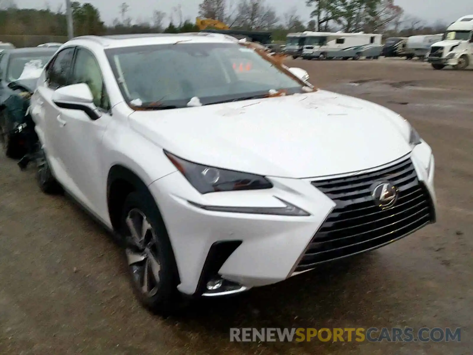 1 Photograph of a damaged car JTJYARBZ0K2128548 LEXUS NX 300 2019