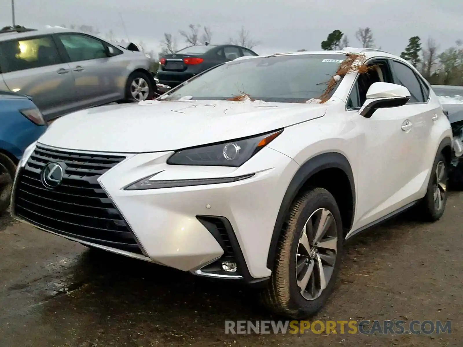 2 Фотография поврежденного автомобиля JTJYARBZ0K2128548 LEXUS NX 300 2019