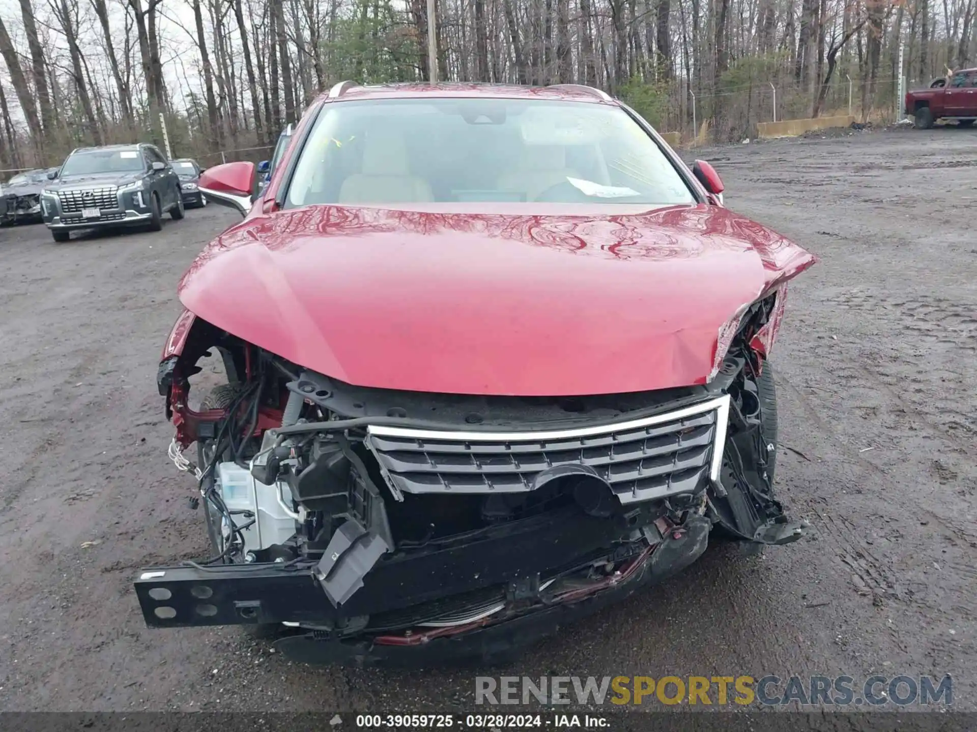 11 Photograph of a damaged car JTJGARDZ0L5006958 LEXUS NX 300 2020