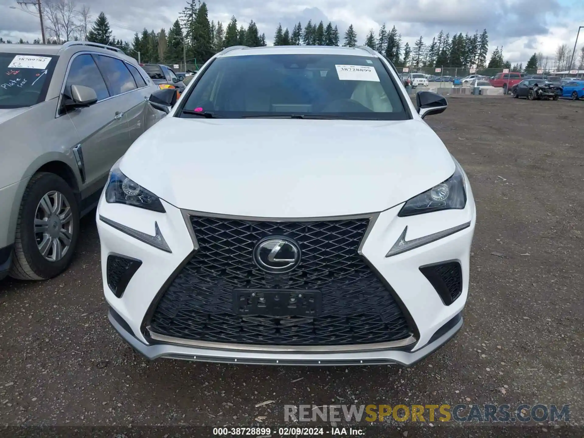 12 Фотография поврежденного автомобиля JTJSARDZ1L5001326 LEXUS NX 300 2020