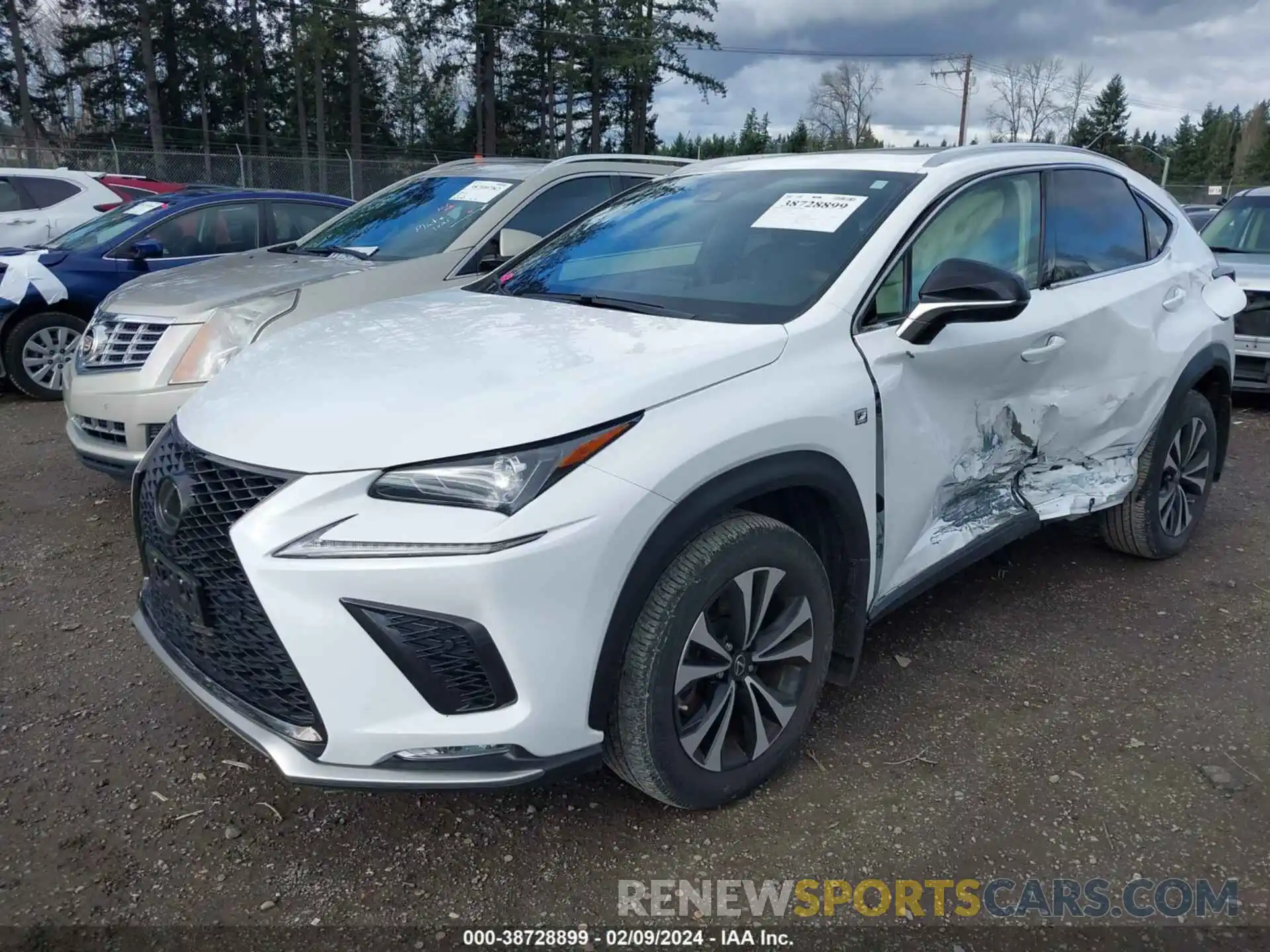 2 Фотография поврежденного автомобиля JTJSARDZ1L5001326 LEXUS NX 300 2020