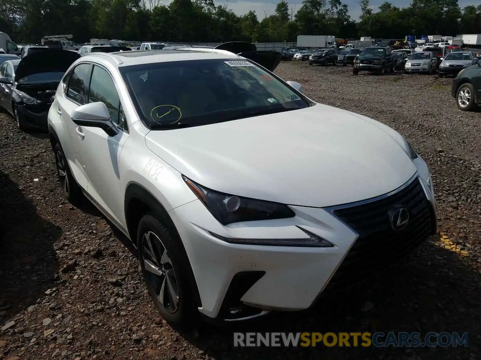 1 Фотография поврежденного автомобиля JTJBARBZ0K2207868 LEXUS NX 300 BAS 2019