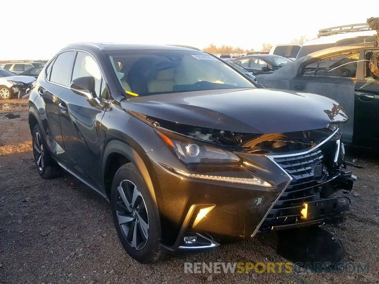 1 Фотография поврежденного автомобиля JTJBARBZ0K2210897 LEXUS NX 300 BAS 2019