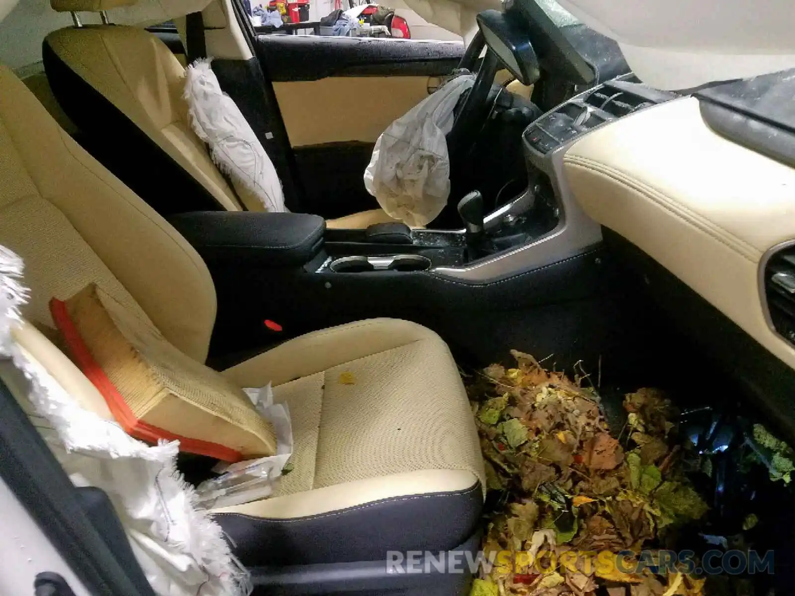 5 Photograph of a damaged car JTJBARBZ1K2207586 LEXUS NX 300 BAS 2019