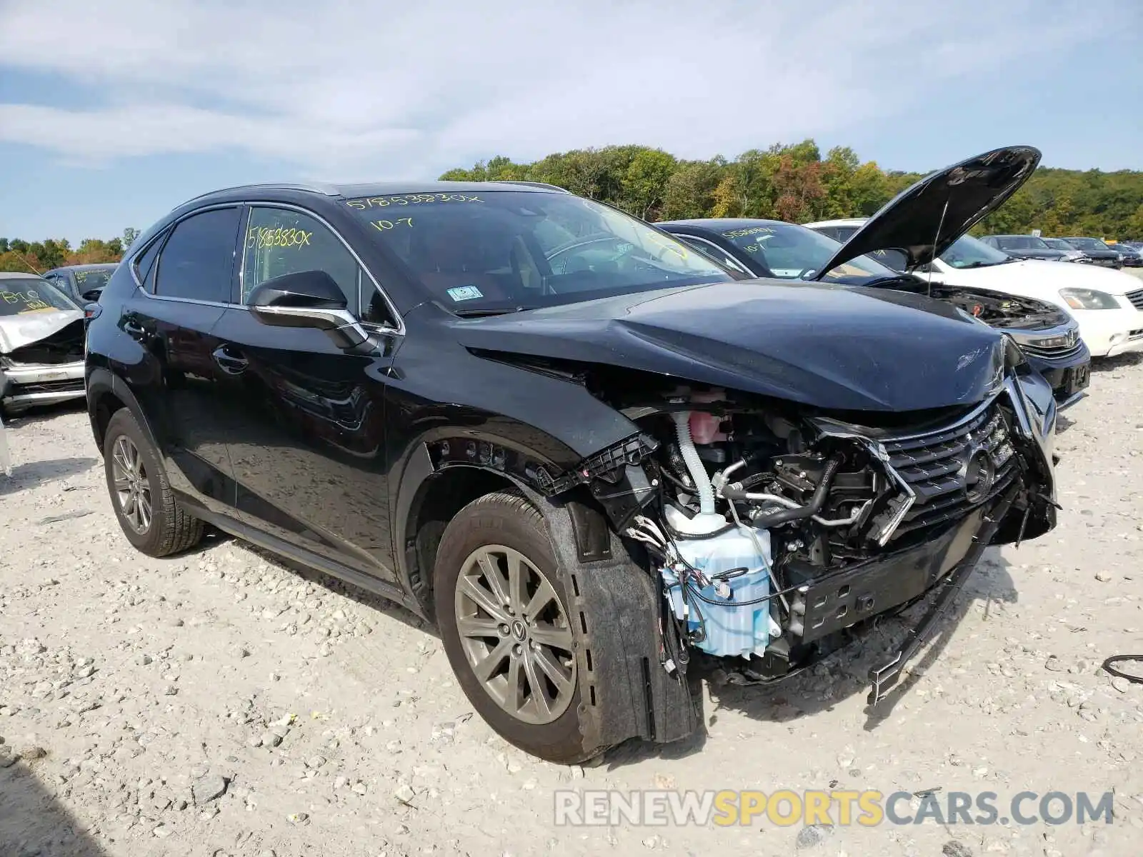 1 Photograph of a damaged car JTJBARBZ5K2215027 LEXUS NX 300 BAS 2019