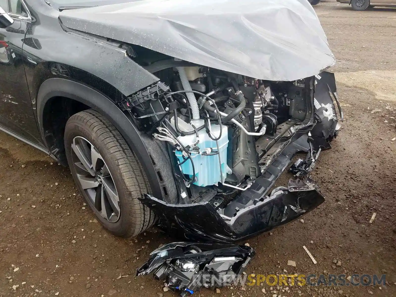 9 Фотография поврежденного автомобиля JTJYARBZ1K2149442 LEXUS NX 300 BAS 2019