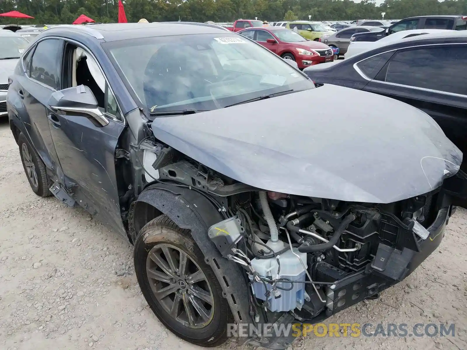 1 Photograph of a damaged car JTJYARBZ4K2133817 LEXUS NX 300 BAS 2019