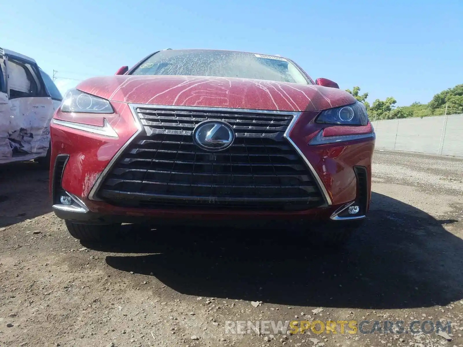 9 Фотография поврежденного автомобиля JTJYARBZ7K2119488 LEXUS NX 300 BAS 2019