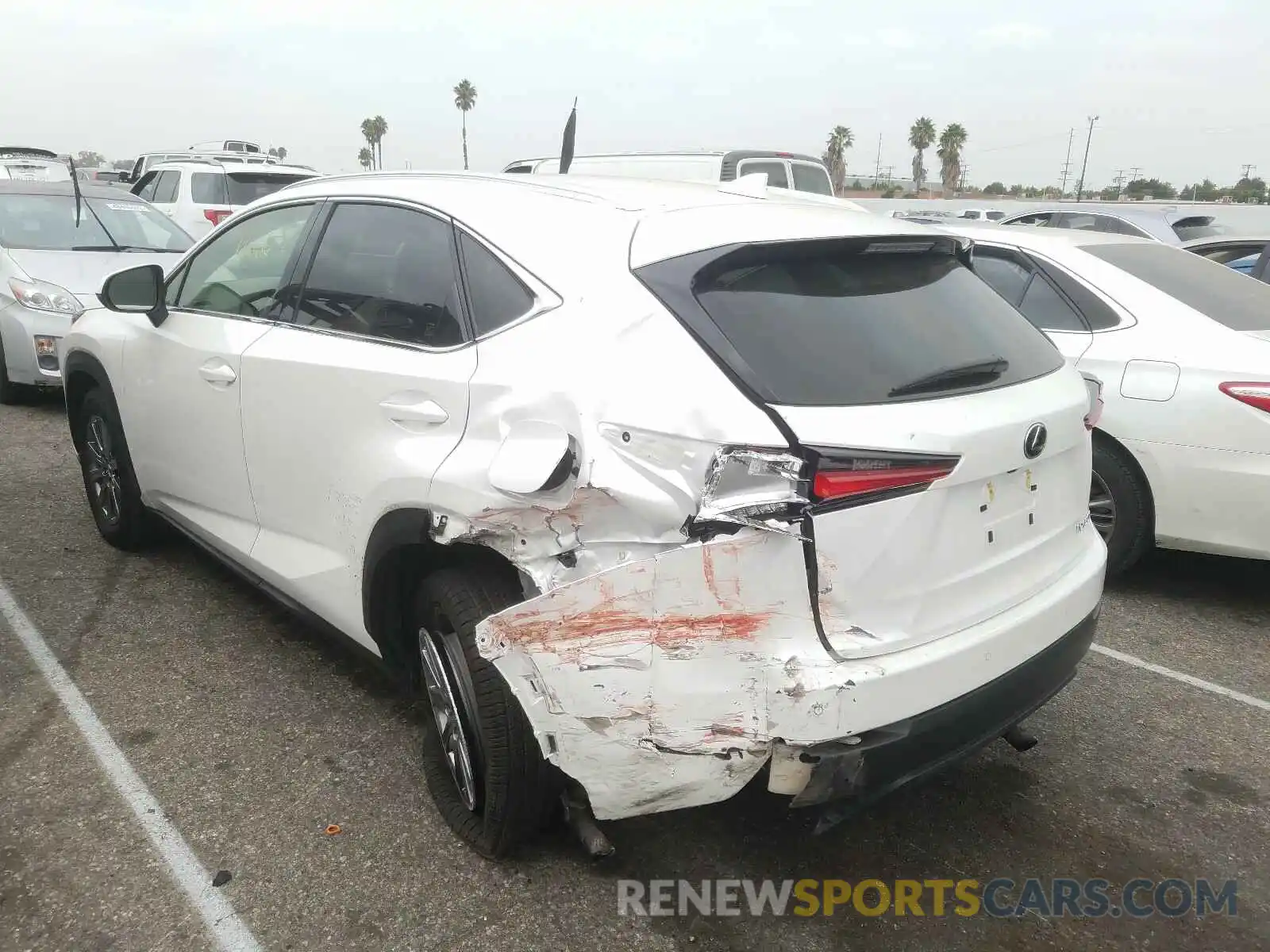 3 Photograph of a damaged car JTJYARBZ9K2148118 LEXUS NX 300 BAS 2019