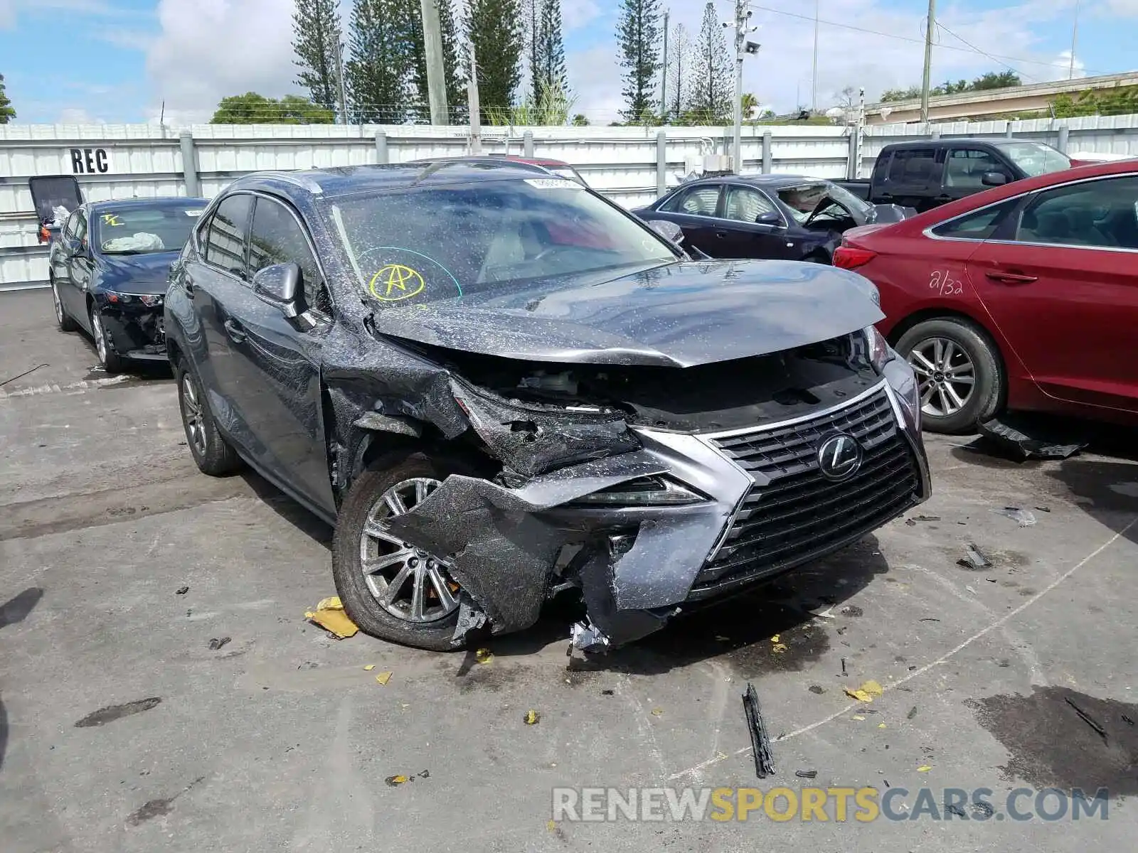 1 Фотография поврежденного автомобиля JTJAARBZ8L5004366 LEXUS NX 300 BAS 2020