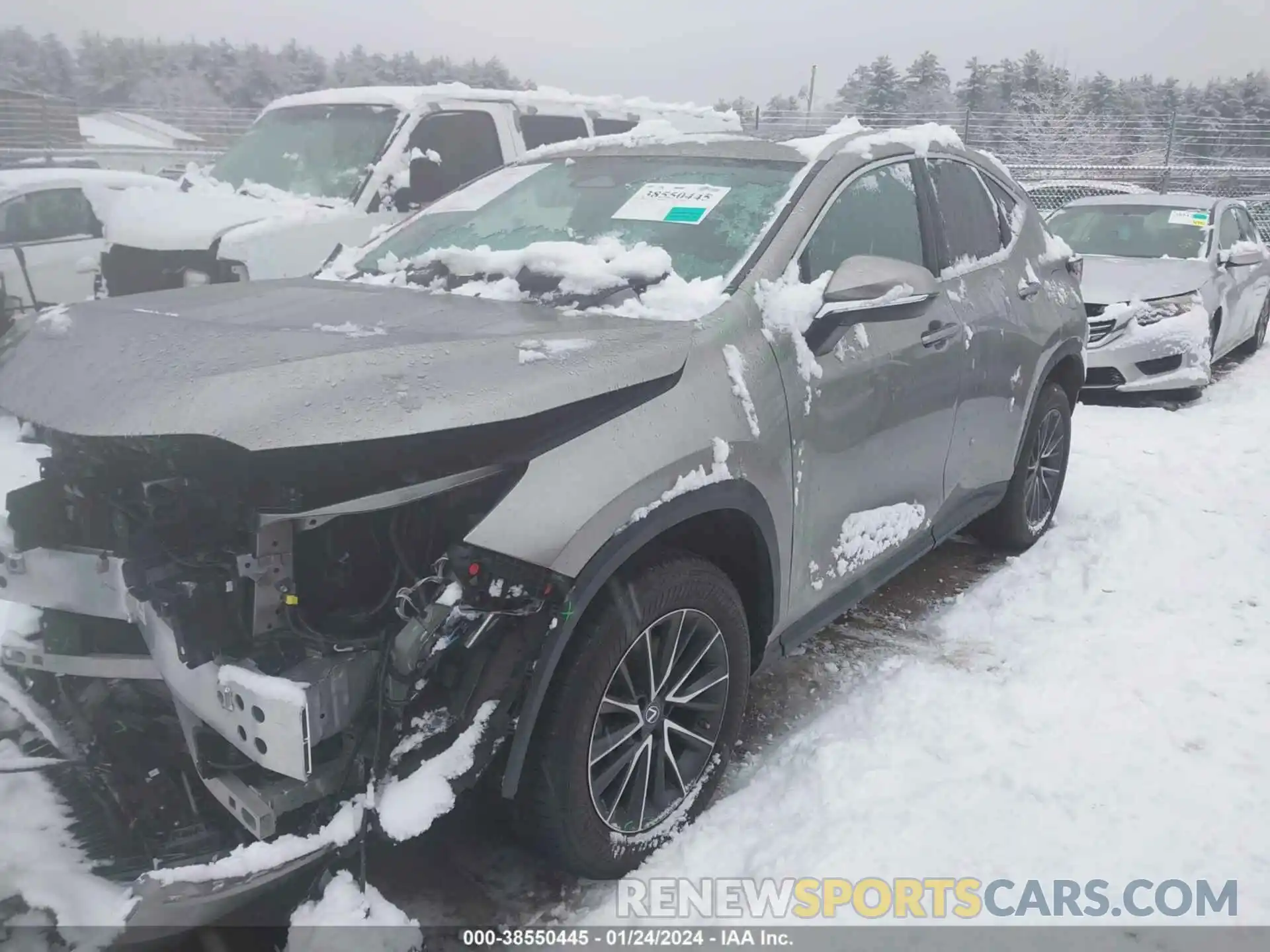 2 Photograph of a damaged car 2T2GGCEZ2PC016716 LEXUS NX 350 2023