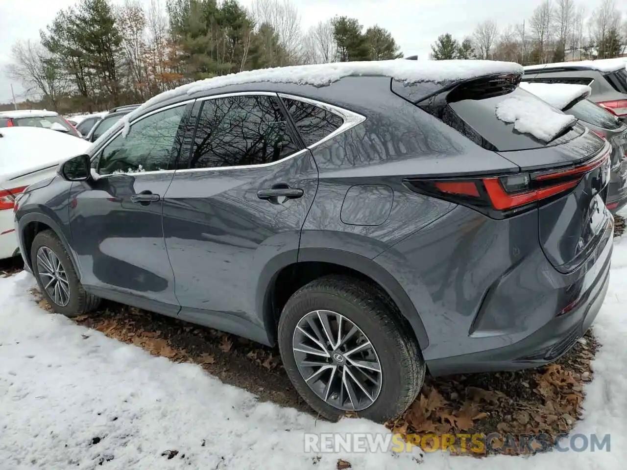 2 Photograph of a damaged car 2T2GGCEZXPC021873 LEXUS NX 350 2023