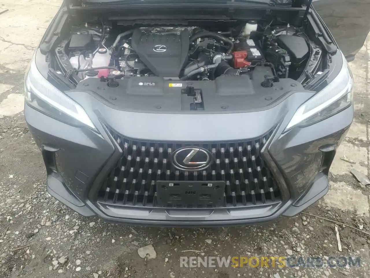 11 Фотография поврежденного автомобиля 2T2AGCEZ9RC040830 LEXUS NX 350 BAS 2024