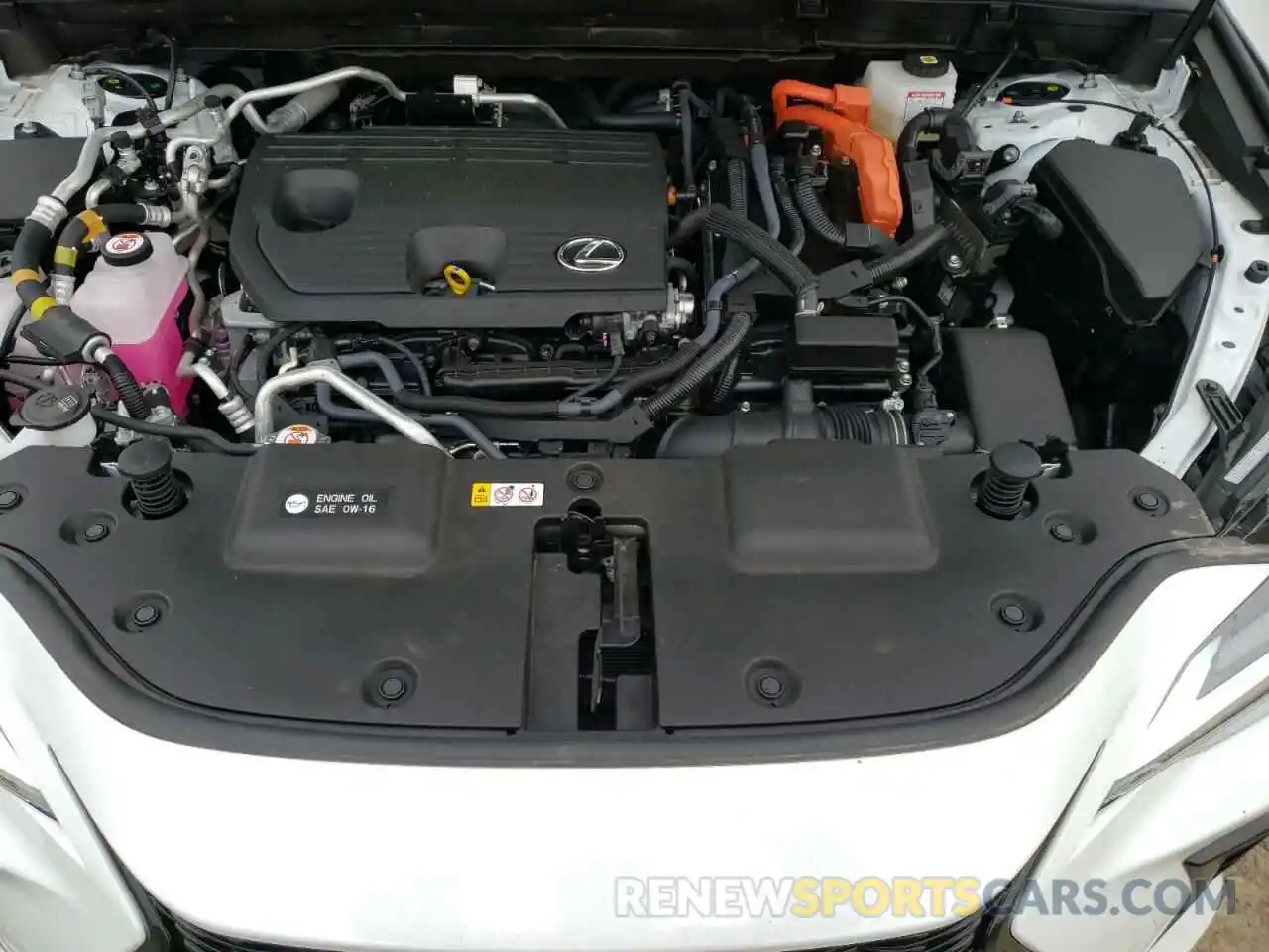 12 Фотография поврежденного автомобиля JTJKKCFZ0R2032102 LEXUS NX 450H LU 2024