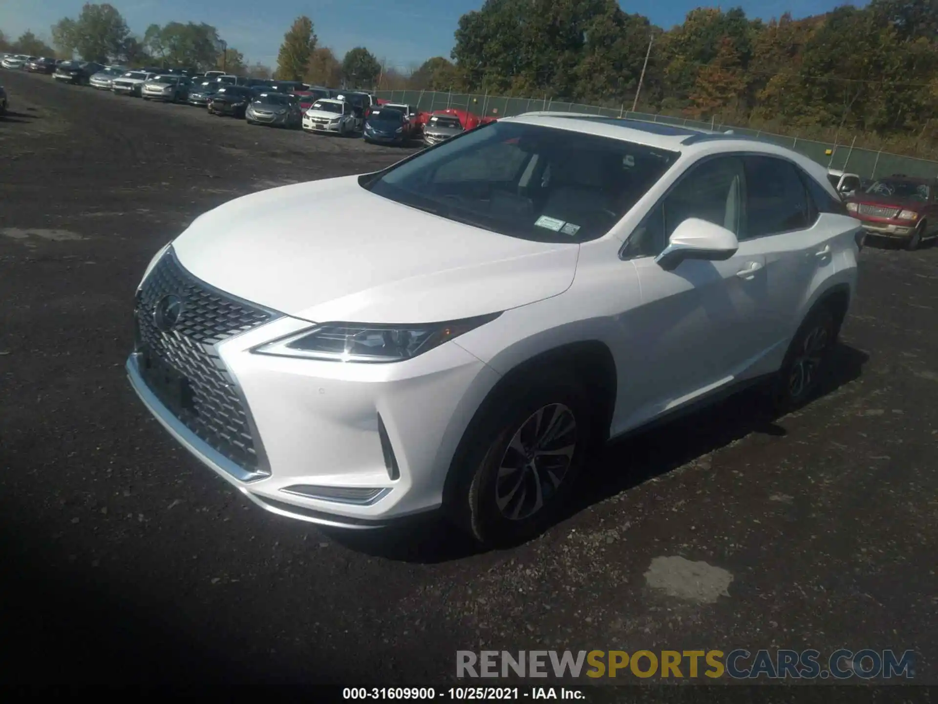 2 Photograph of a damaged car 2T2HZMDA0LC232154 LEXUS RX 2020